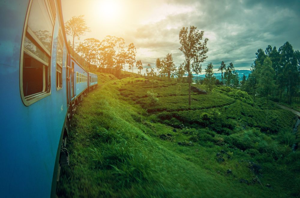 train in sri lanka with the sunset